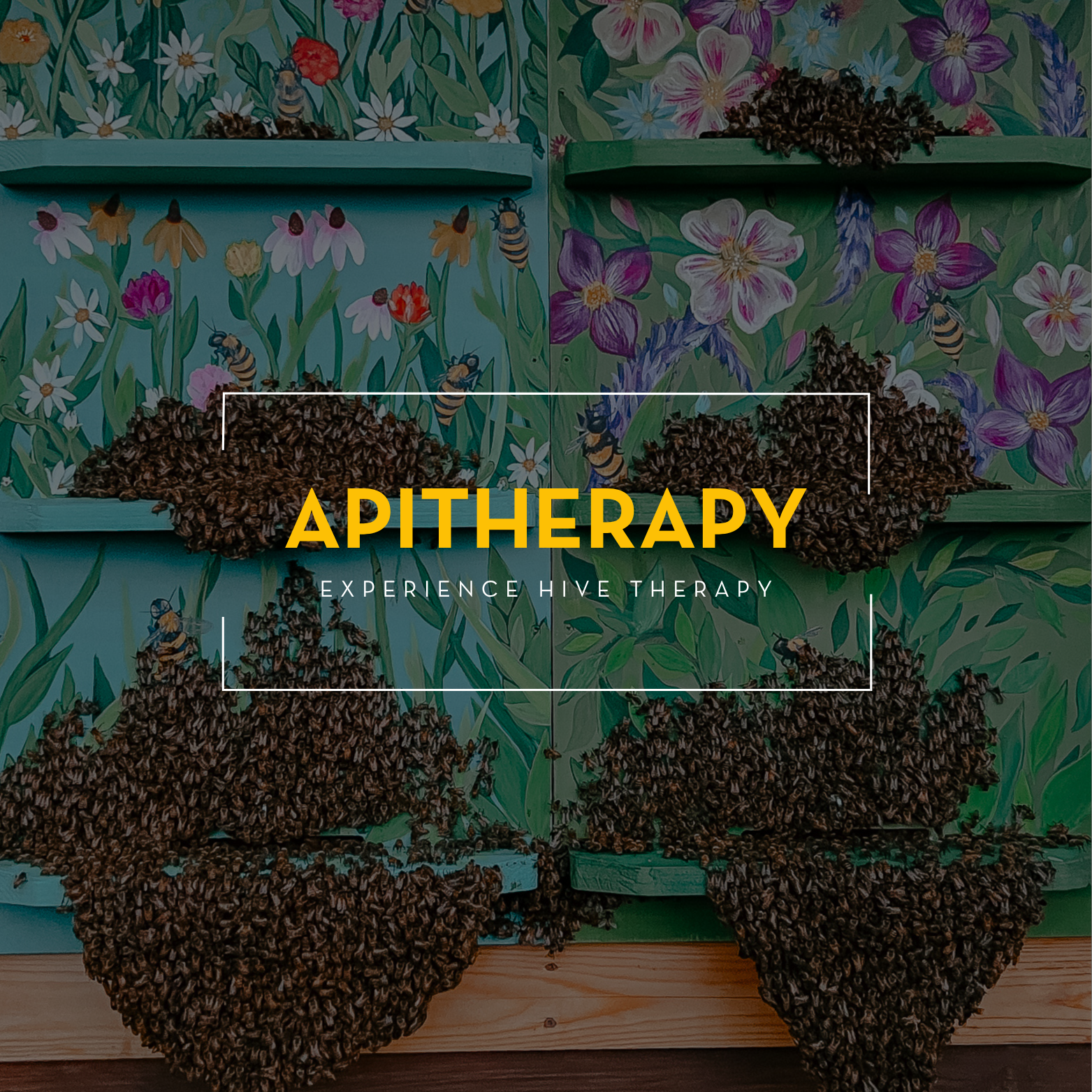 APITHERAPY EXPERIENCE - COMING SOON – Hunnabees